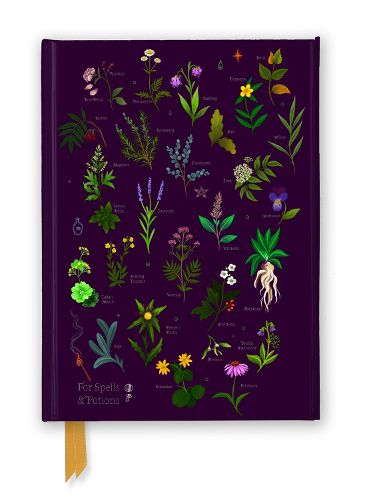 Cover image for Anna Stead: For Spells & Potions (Foiled Journal)