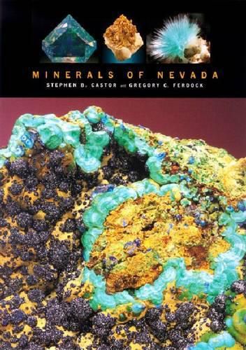 Cover image for Minerals of Nevada