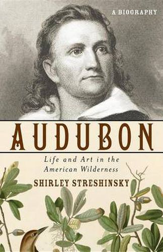 Cover image for Audubon: Life and Art in the American Wilderness