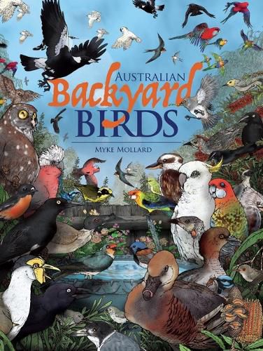 Cover image for Australian Backyard Birds