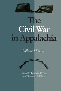 Cover image for The Civil War in Appalachia: Collected Essays