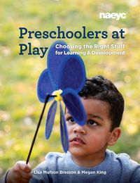 Cover image for Preschoolers at Play: Choosing the Right Stuff for Learning and Development