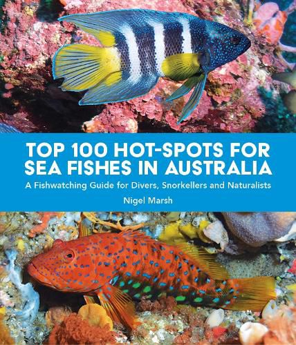 Cover image for TOP 100 HOT-SPOTS FOR SEA FISHES IN AUSTRALIA