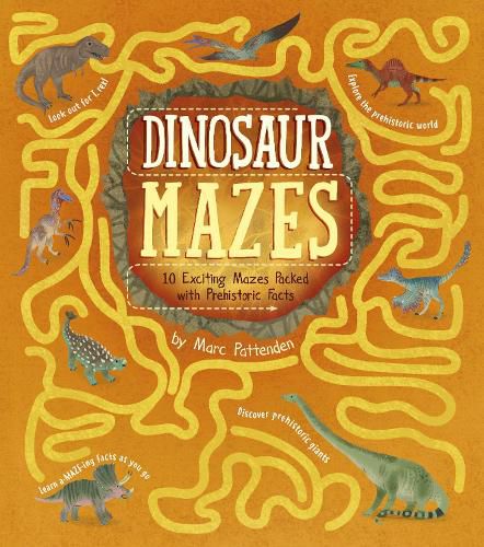 Cover image for Dinosaur Mazes