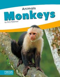 Cover image for Animals: Monkeys