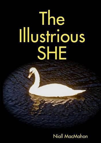 Cover image for The Ilustrious She