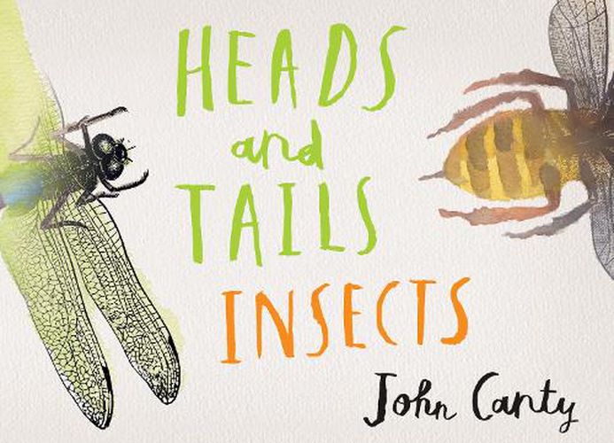 Cover image for Heads and Tails: Insects