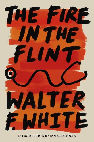 Cover image for The Fire in the Flint