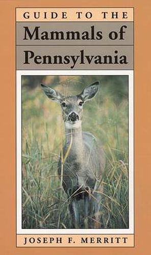 Cover image for Guide to the Mammals of Pennsylvania