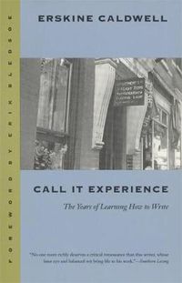 Cover image for Call it Experience: The Years of Learning How to Write