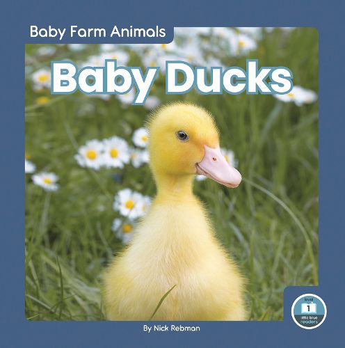 Cover image for Baby Ducks