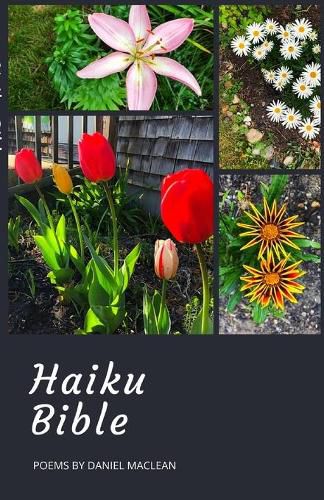 Cover image for Haiku Bible