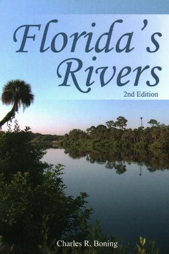 Cover image for Florida's Rivers