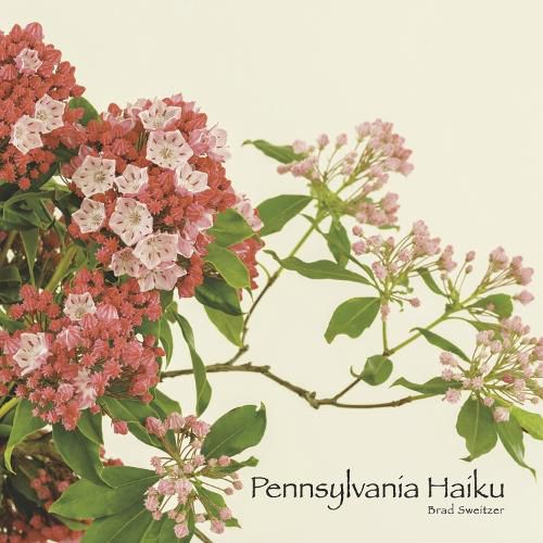 Cover image for Pennsylvania Haiku