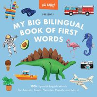 Cover image for My Big Bilingual Book of First Words