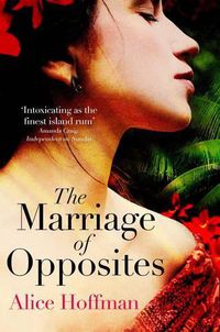 Cover image for The Marriage of Opposites