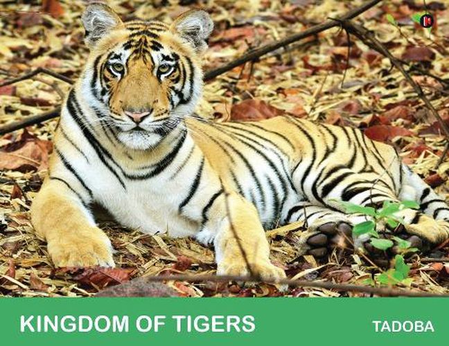 Cover image for Kingdom of Tigers - Tadoba