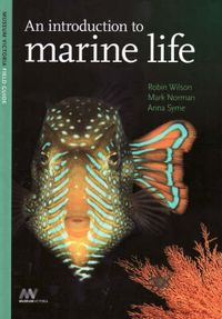 Cover image for An Introduction to Marine Life