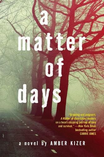 Cover image for A Matter of Days