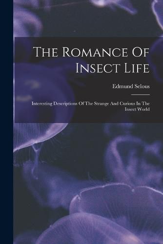 Cover image for The Romance Of Insect Life