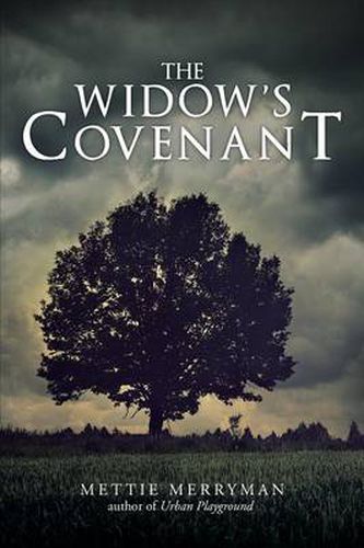 Cover image for The Widow's Covenant