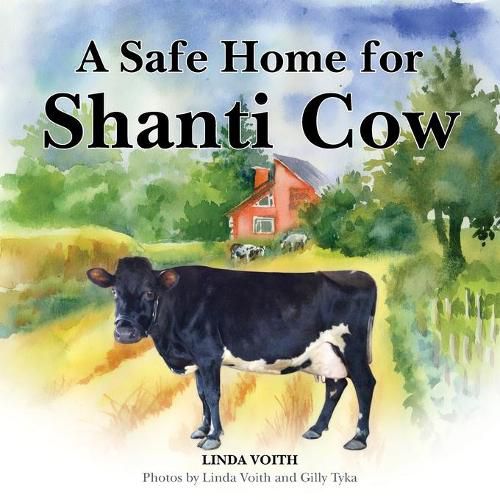 Cover image for A Safe Home for Shanti Cow