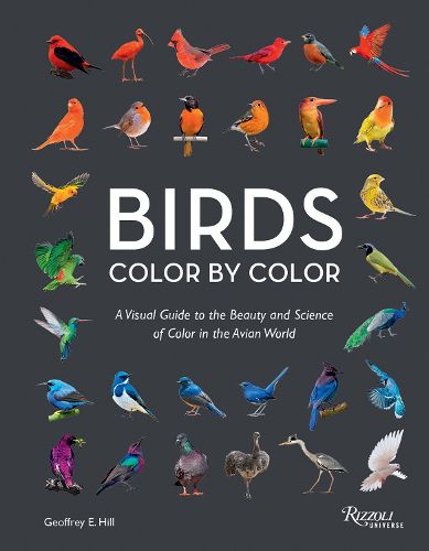 Birds Color by Color, Geoffrey E. Hill (9780789346834) — Readings Books