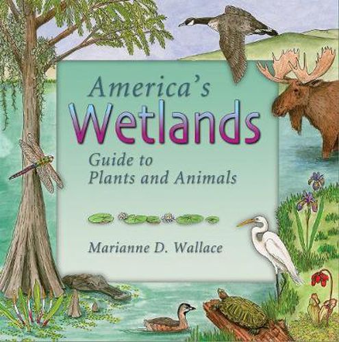 Cover image for America's Wetlands: Guide to Plants and Animals