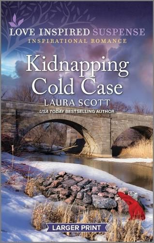 Cover image for Kidnapping Cold Case