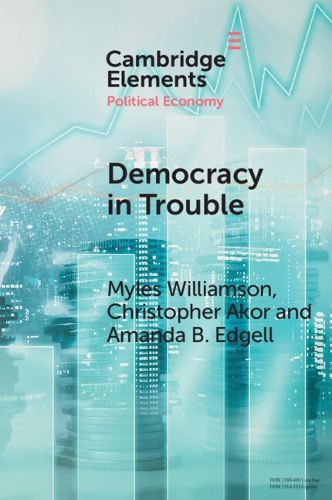 Cover image for Democracy in Trouble