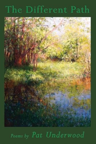 Cover image for The Different Path