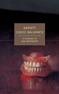 Cover image for Kaputt