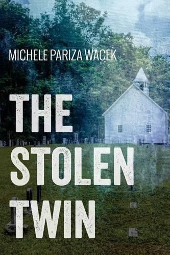 Cover image for The Stolen Twin