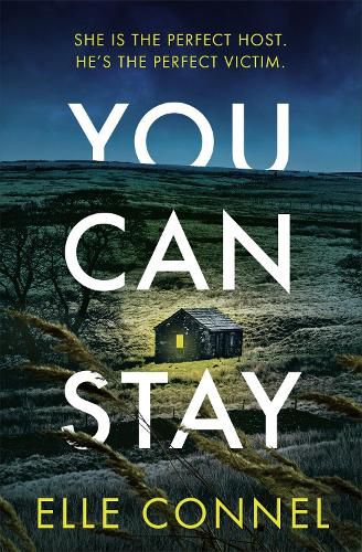 Cover image for You Can Stay: The chilling, heart-stopping new thriller