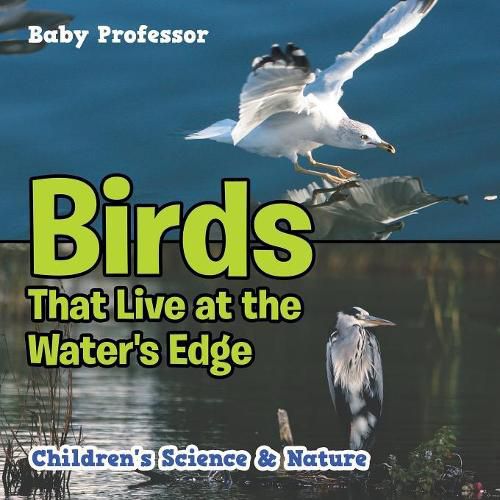 Cover image for Birds That Live at the Water's Edge Children's Science & Nature