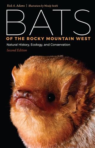 Cover image for Bats of the Rocky Mountain West