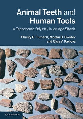 Cover image for Animal Teeth and Human Tools: A Taphonomic Odyssey in Ice Age Siberia