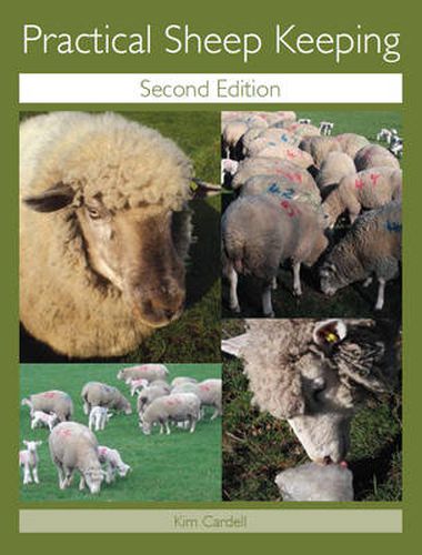 Cover image for Practical Sheep Keeping