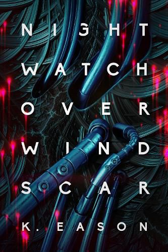 Cover image for Nightwatch over Windscar