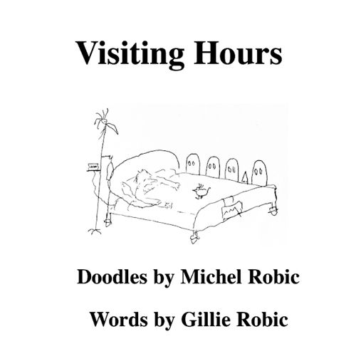 Cover image for Visiting Hours