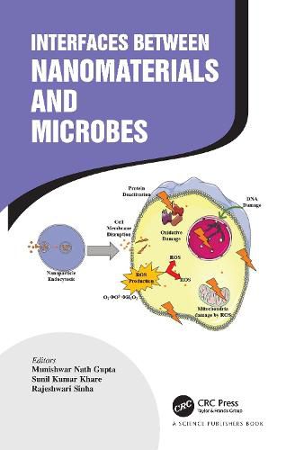 Cover image for Interfaces Between Nanomaterials and Microbes