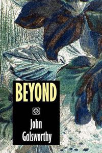 Cover image for Beyond