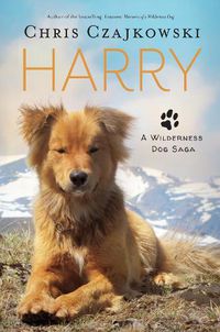 Cover image for Harry: A Wilderness Dog Saga