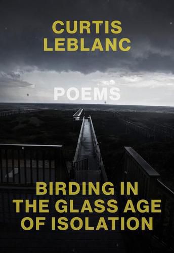 Cover image for Birding in the Glass Age of Isolation