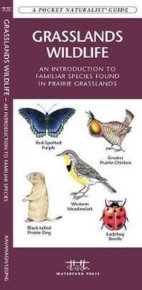 Cover image for Grasslands Wildlife: A Folding Pocket Guide to Familiar Species Found in Prairie Grasslands