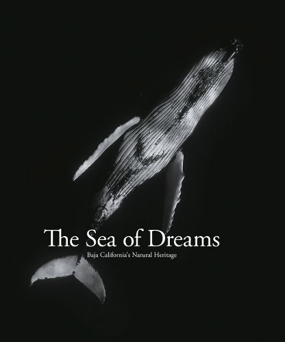 Cover image for Sea of Dreams: Baja California Natural Heritage