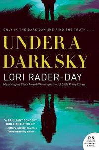 Cover image for Under a Dark Sky: A Novel