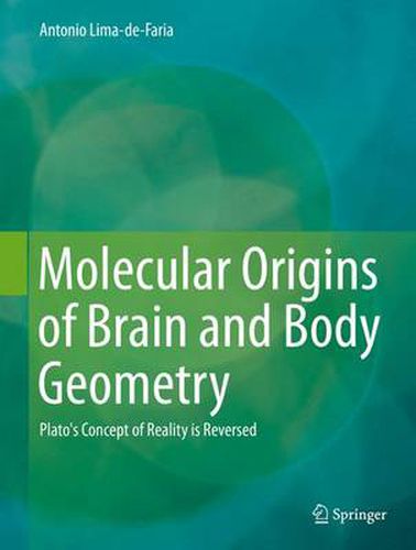 Molecular Origins of Brain and Body Geometry: Plato's Concept of Reality is Reversed