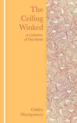 Cover image for The Ceiling Winked