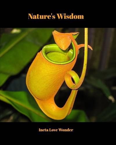 Cover image for Nature's Wisdom